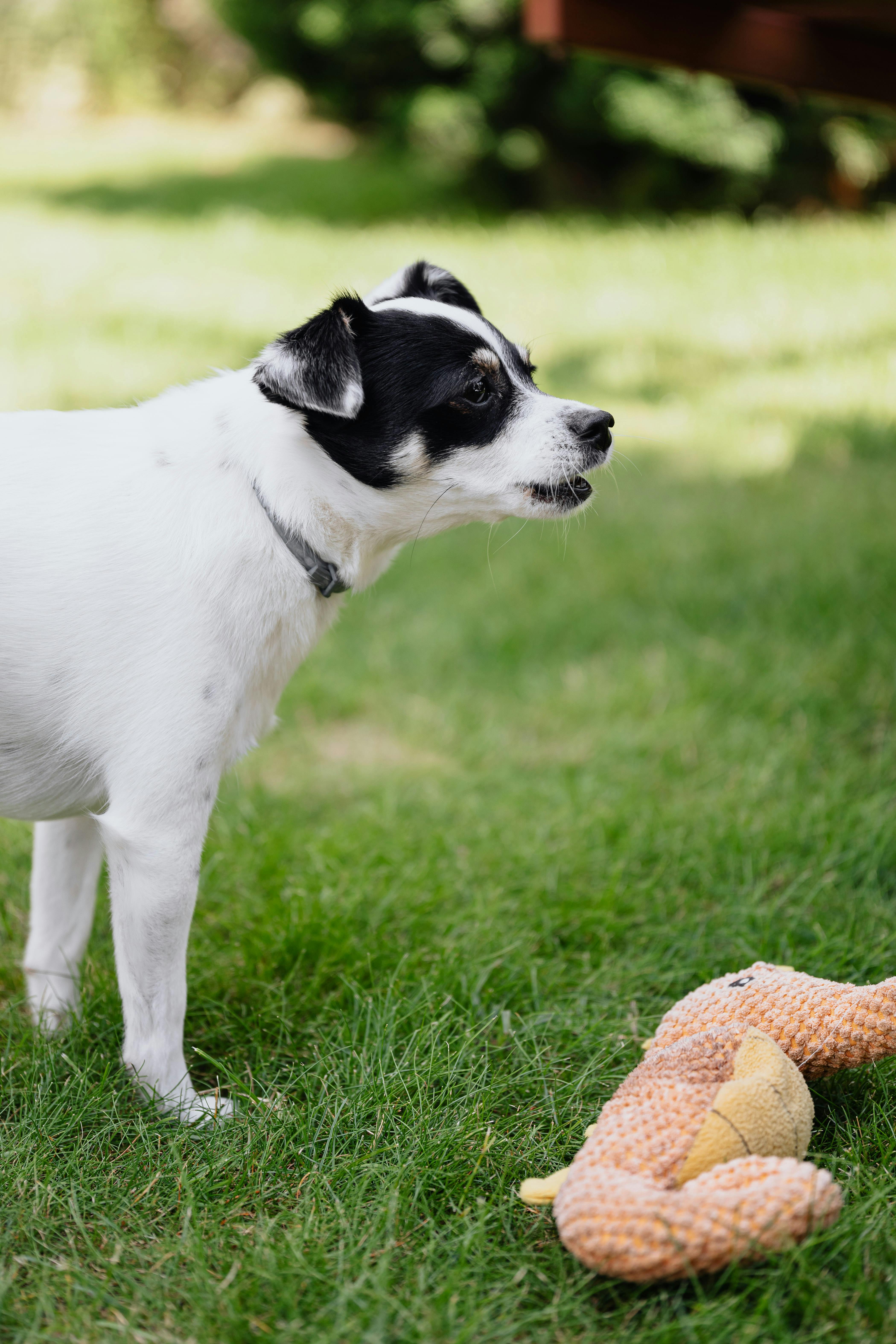 Captures fear-based reactivity and alert posture